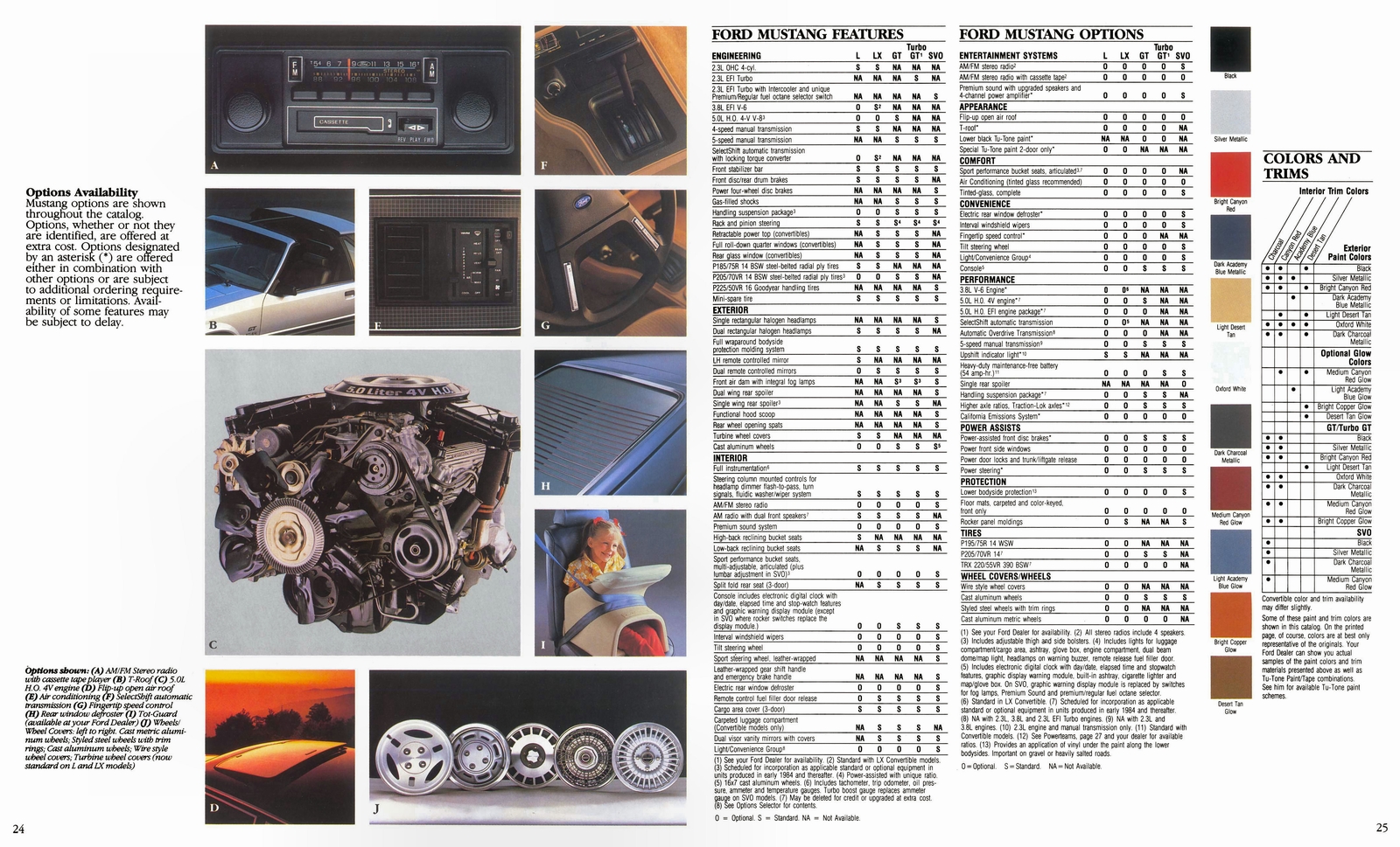 n_1984 Ford Mustang-24-25.jpg